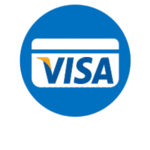 collect visa